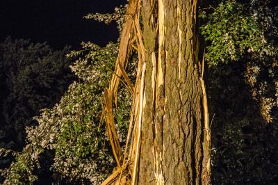 Kreis Esslingen: Einsaetze nach Unwetter - Pappel wird vom Blitz in Koengen foermlich gesprengt - Kindergarten geschlossen - Wohnung verwuestet